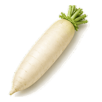 大根