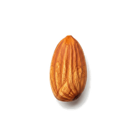 アーモンド