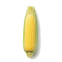 とうもろこし