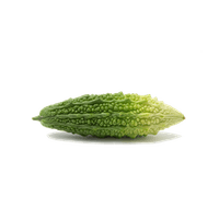 ゴーヤ