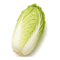 白菜