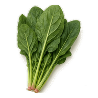 ほうれん草