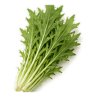 水菜