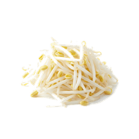 豆もやし