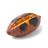 焼き芋