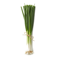 万能ねぎ