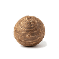 タロイモ